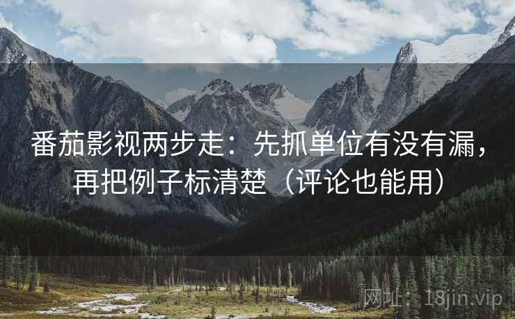 番茄影视两步走：先抓单位有没有漏，再把例子标清楚（评论也能用）